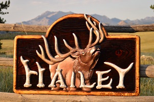 "Hailey" sculpted wooden house sign by Clay Boone